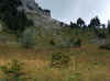 hpim1614.jpg (869673 octets)