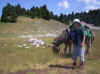 100_0042.jpg (734630 octets)