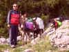 spa50143.jpg (952778 octets)