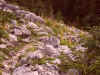 spa50144.jpg (957181 octets)