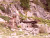 spa50146.jpg (955392 octets)