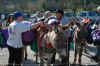 0007.jpg (130503 octets)
