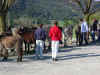 dscn0571.jpg (1030366 octets)