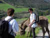 dscn0575.jpg (922148 octets)
