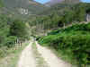 dscn0577.jpg (984061 octets)