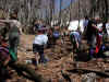 dscn0584.jpg (899791 octets)