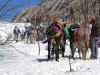 dscn0587.jpg (953188 octets)