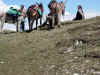 dscn0595.jpg (984300 octets)