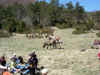 dscn0626.jpg (991637 octets)