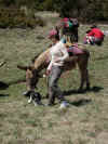 dscn0630.jpg (825720 octets)